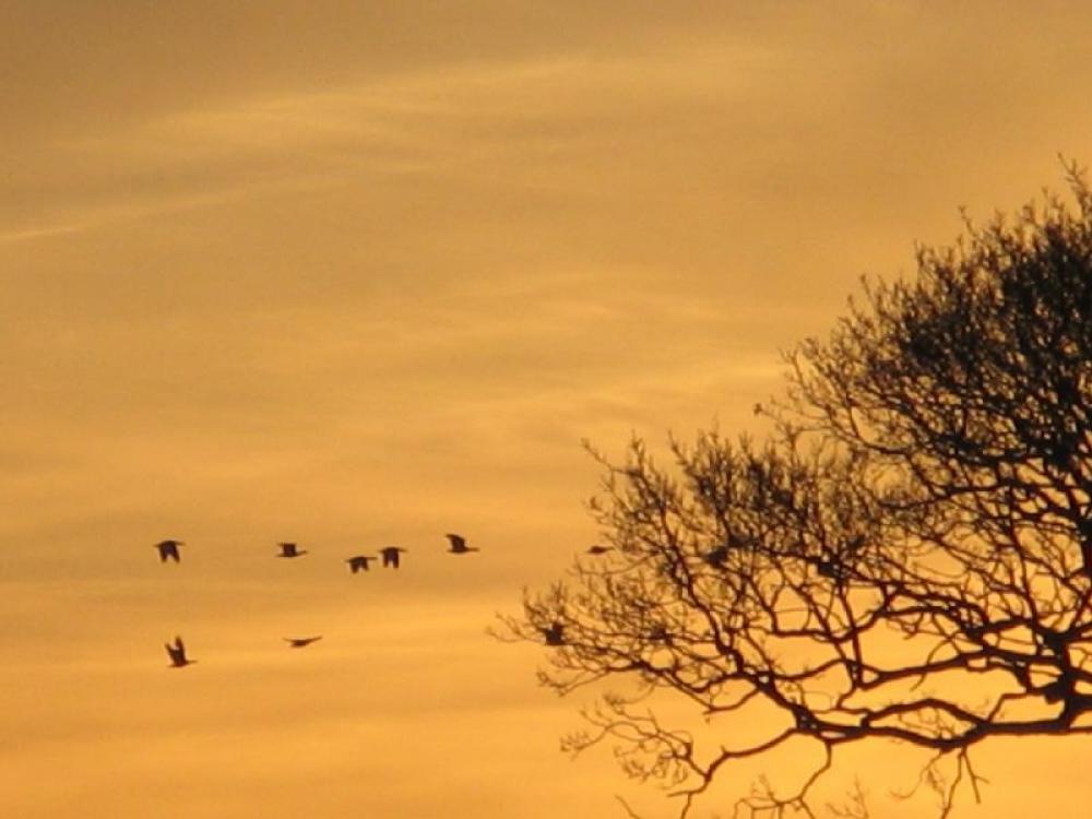 Views of Pilling Main Photo